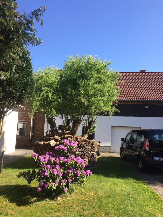 Pension Zum Alten Gasthaus Haensel Krauschwitz Exteriér fotografie